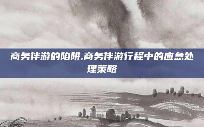 保山商务伴游的陷阱,商务伴游行程中的应急处理策略